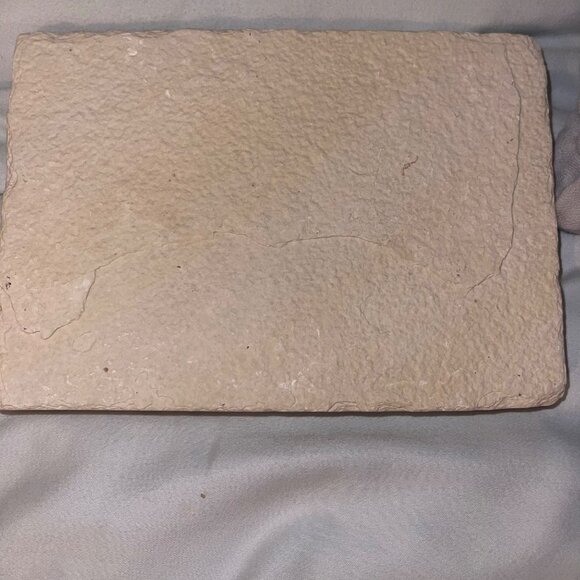 Fish Fossils Coral Beige Decor Collectible Set of 2 - Picture 5 of 10